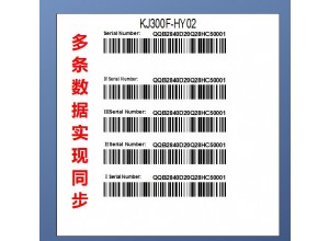 BarTender條碼編輯軟件中多條流水號數據一鍵同步修改攻略